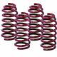 Feathers Vogtland Lowering Springs For Smart Roadster Coupe 452 950 403 4.03