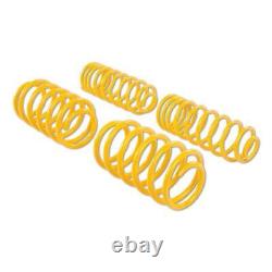 ST Suspension 28226001 Sport Lowering Springs for Smart City-Coupe (450)